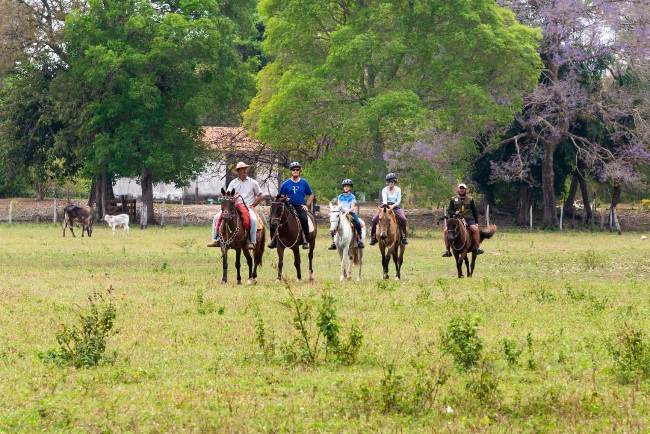 Pousada Fazenda Xaraes Todos os Santos Eksteriør bilde