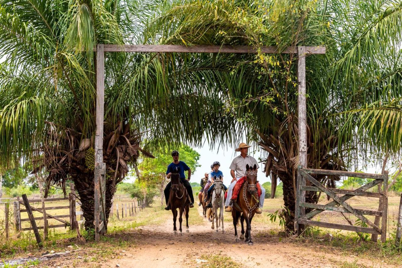 Pousada Fazenda Xaraes Todos os Santos Eksteriør bilde