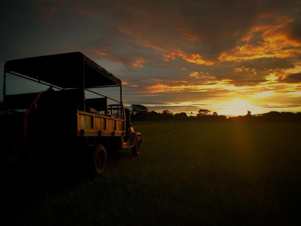 Pousada Fazenda Xaraes Todos os Santos Eksteriør bilde