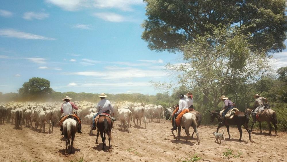 Pousada Fazenda Xaraes Todos os Santos Eksteriør bilde