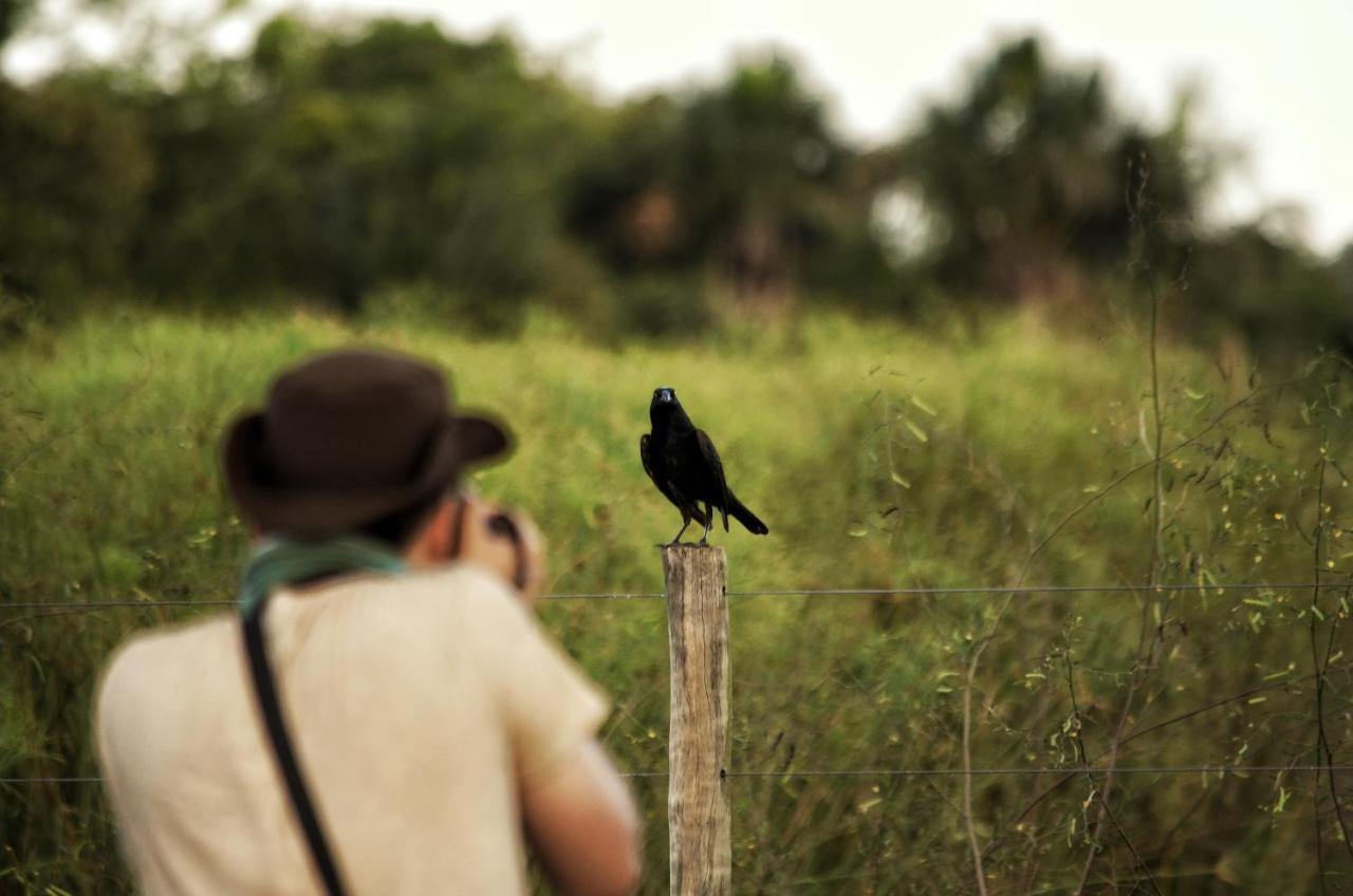 Pousada Fazenda Xaraes Todos os Santos Eksteriør bilde