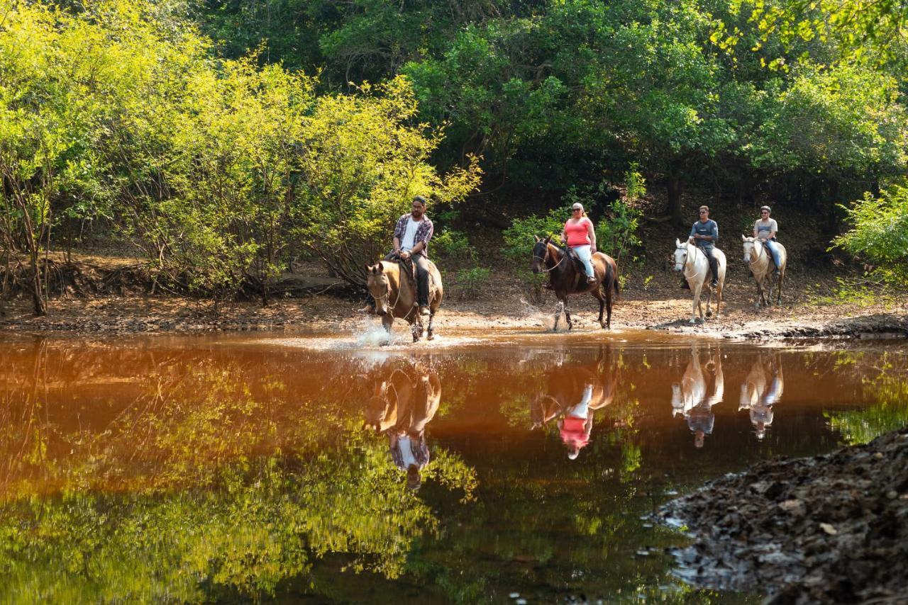 Pousada Fazenda Xaraes Todos os Santos Eksteriør bilde