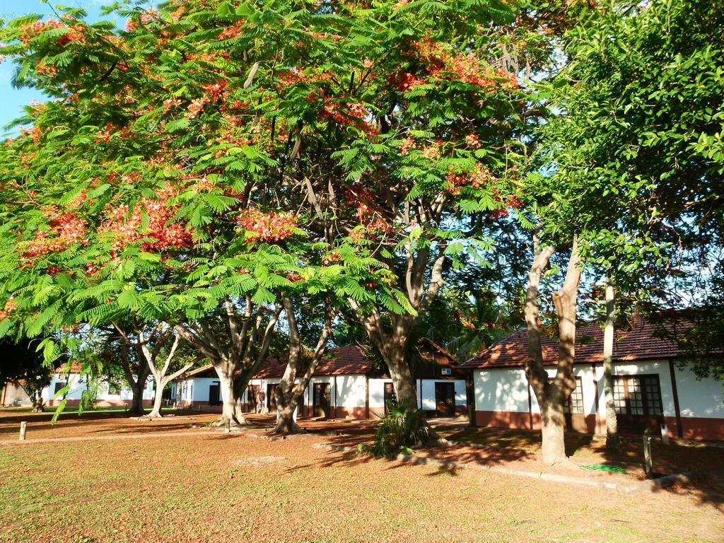 Pousada Fazenda Xaraes Todos os Santos Eksteriør bilde