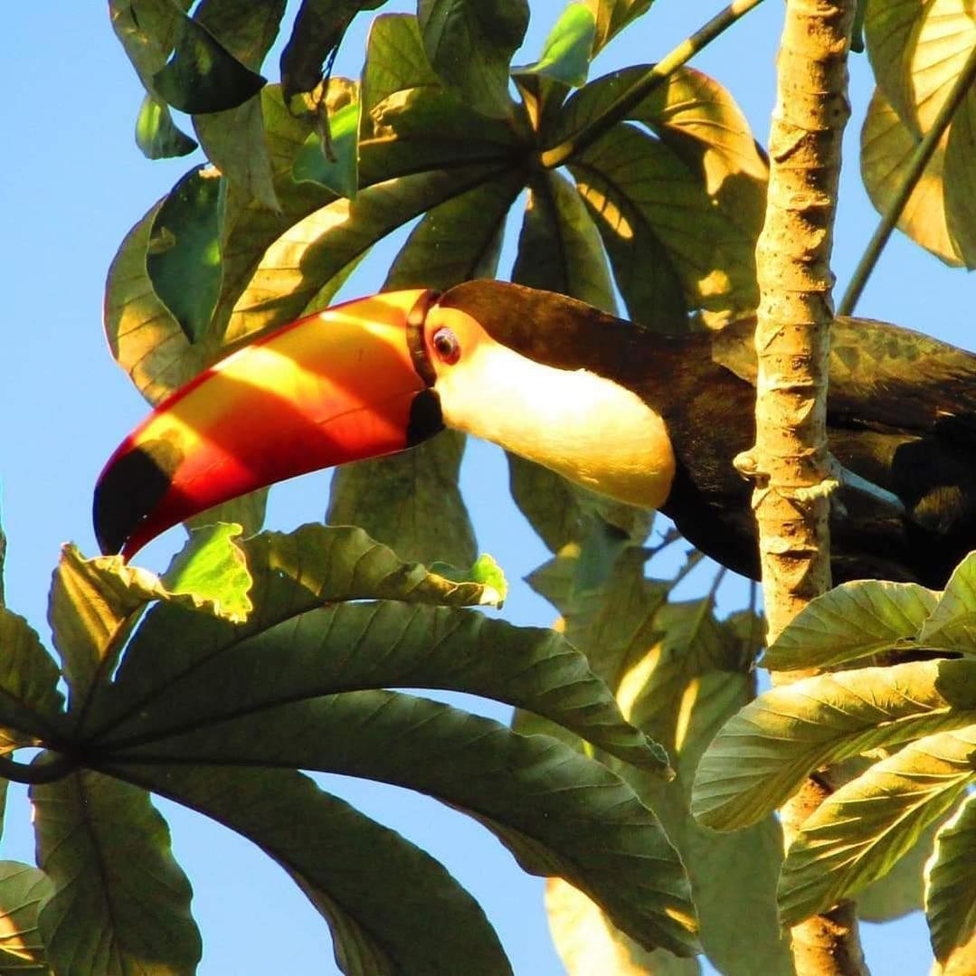 Pousada Fazenda Xaraes Todos os Santos Eksteriør bilde