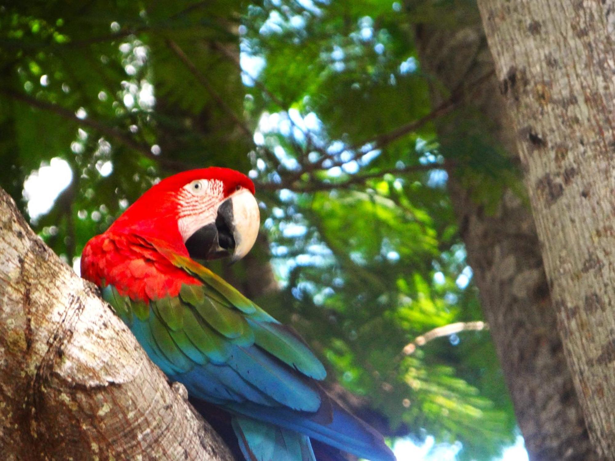 Pousada Fazenda Xaraes Todos os Santos Eksteriør bilde