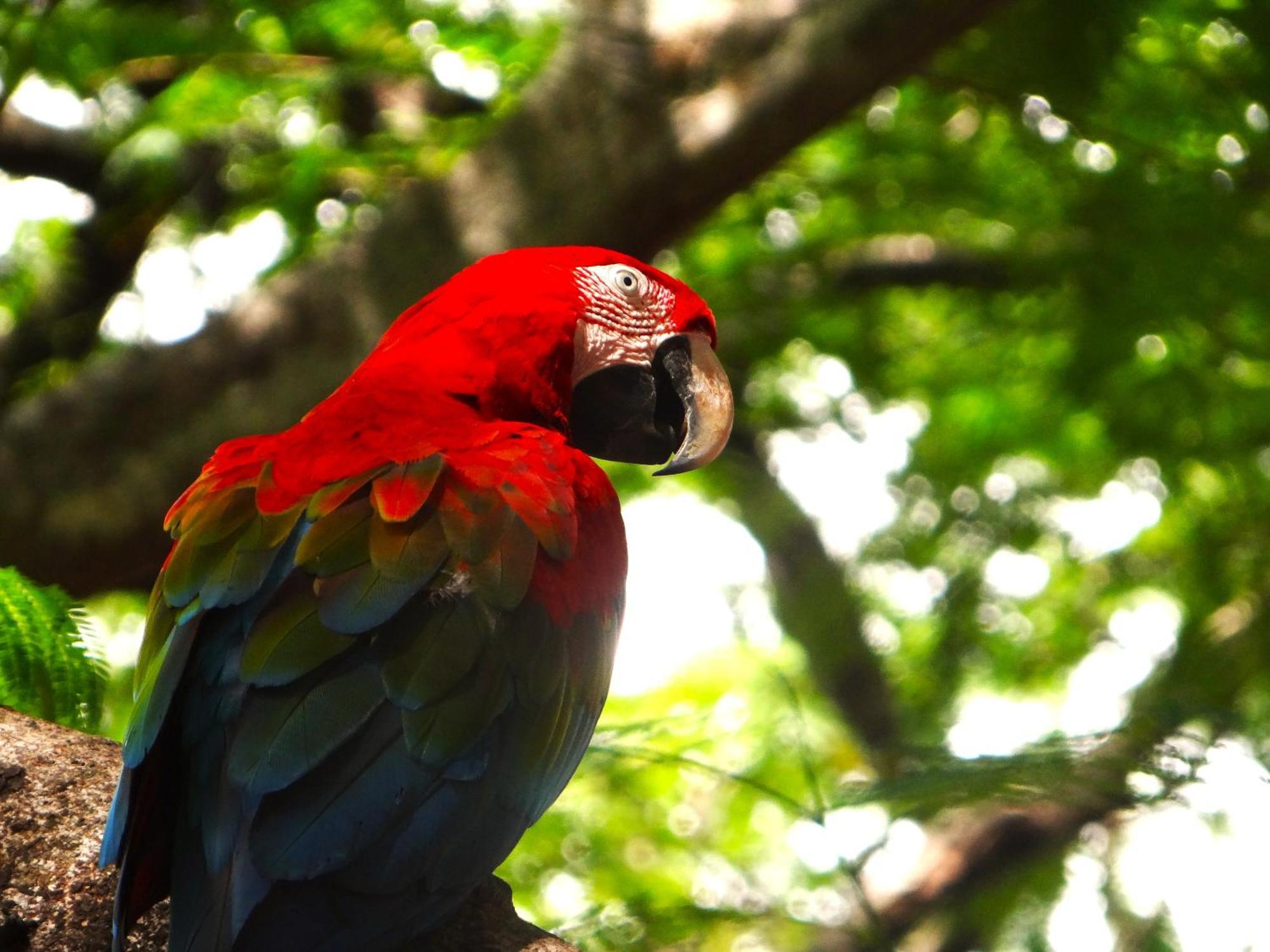 Pousada Fazenda Xaraes Todos os Santos Eksteriør bilde