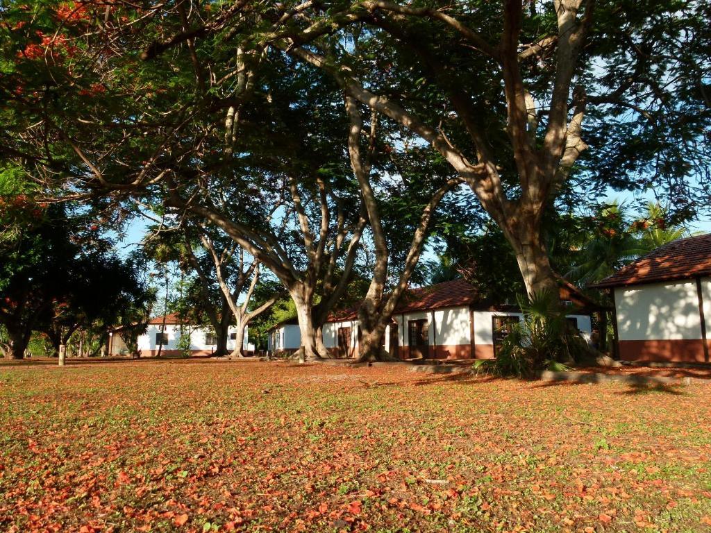Pousada Fazenda Xaraes Todos os Santos Eksteriør bilde