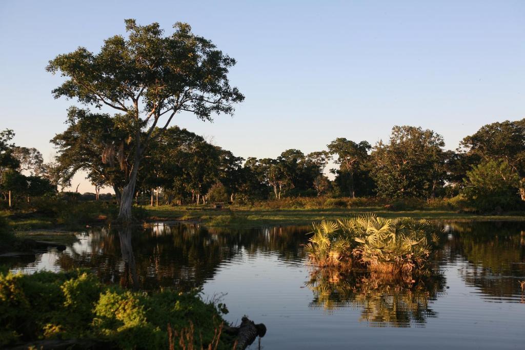 Pousada Fazenda Xaraes Todos os Santos Eksteriør bilde